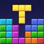 Block Puzzle 1.4.3 MOD Unlimited Money