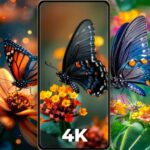 Cool Butterfly Wallpapers 4K 1.3.0 MOD Premium