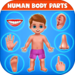 Human Body Parts – Kids Games 3.0 MOD Unlimited Money