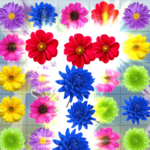 Flower Blast Garden Blossom 1.0 MOD Unlimited Money